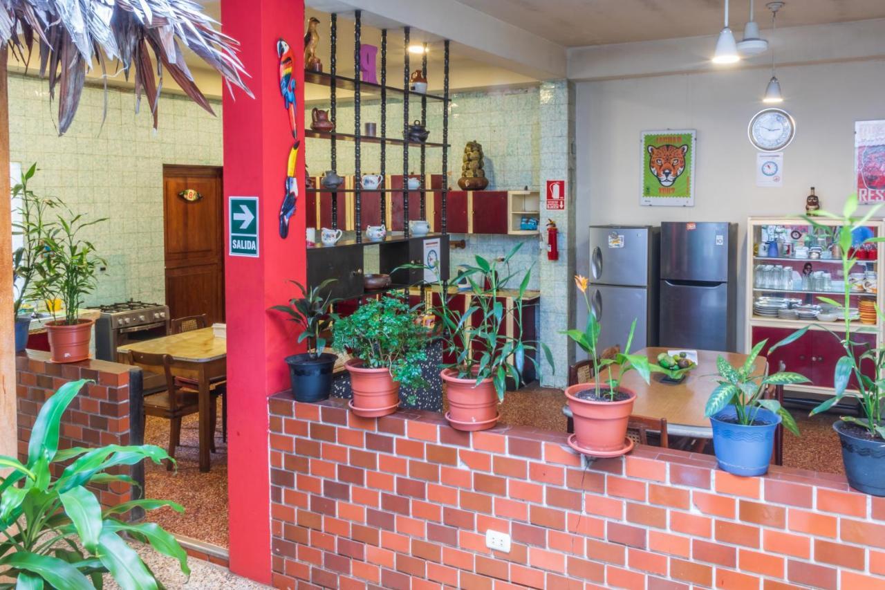 Flying Dog Hostel イキトス エクステリア 写真